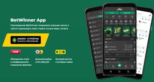 Exploring the BetWinner Betting Platform A Comprehensive Guide -259739731