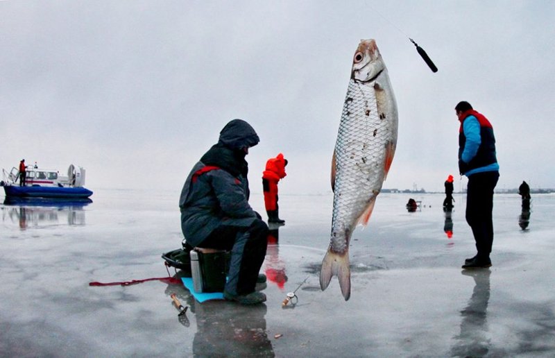 Ice fishing casino - Experience the Thrill of Ice Fishing in a Live Casino Online UK Setting