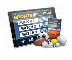Betwinner Leading Online Betting Platform